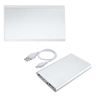 Slim Duo USB Aluminum Power Bank Charger - UL Certified - Silver