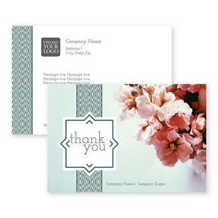 Cherry Blossoms Postcard 4x6 Rectangle Horizontal - White