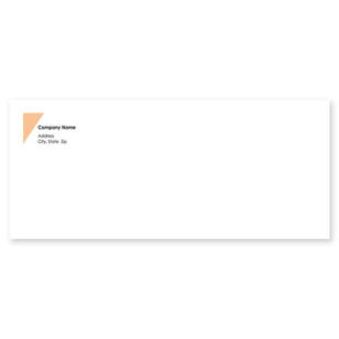 5 Star Service Envelope No. 10 - Charcoal