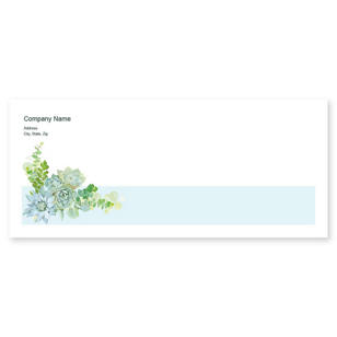 Succulents Envelope No. 10 - Catskill White