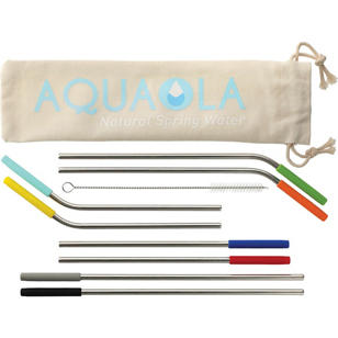 Reusable Stainless Steel Straw 10-in-1 Set