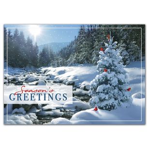 Sweet Seclusion Holiday Cards - White