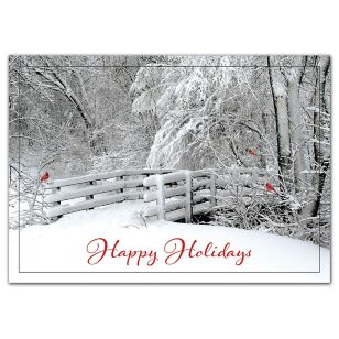 Fresh Air Holiday Cards - White
