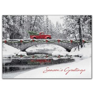 Homeward Bound Holiday Cards - White