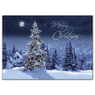 Simply Stunning Christmas Cards - White