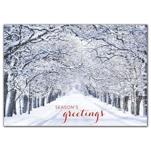 Crystal Lane Holiday Cards - White