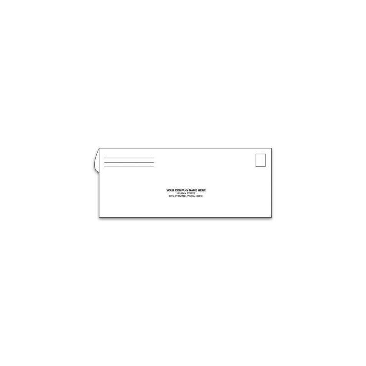8 3/4 X 3 3/4 Return Payment Business Envelopes