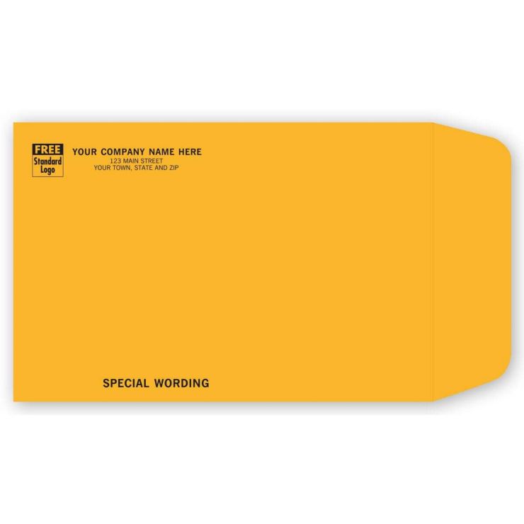 9 X 6 Kraft Mailing Envelope