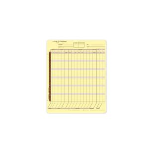 Earnings Record-Small