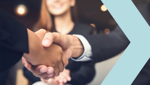 Professionals shaking hands